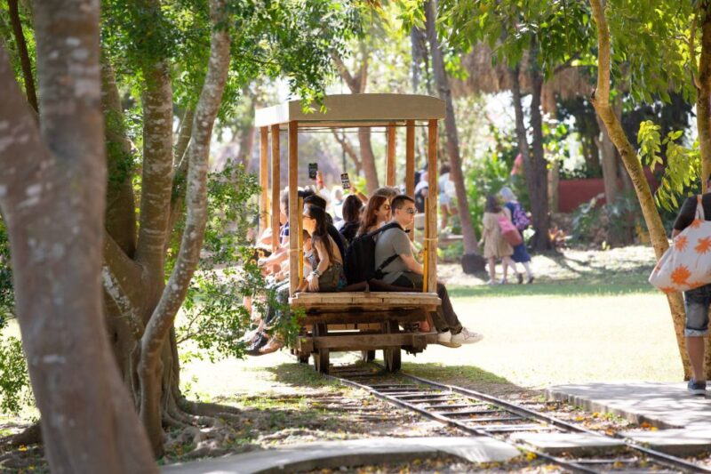 Merida: Hacienda Sotuta De Peon W/ Cenote & Henequen Tour - Experience Highlights