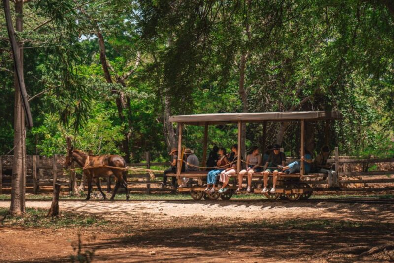 Merida: Hacienda Sotuta De Peon W/ Cenote & Henequen Tour - Cultural and Natural Attractions