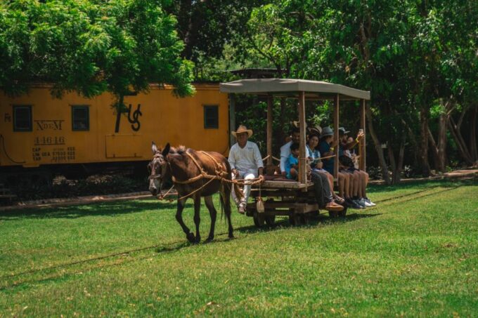 Merida: Hacienda Sotuta De Peon W/ Cenote & Henequen Tour - Meeting Point and Cancellation