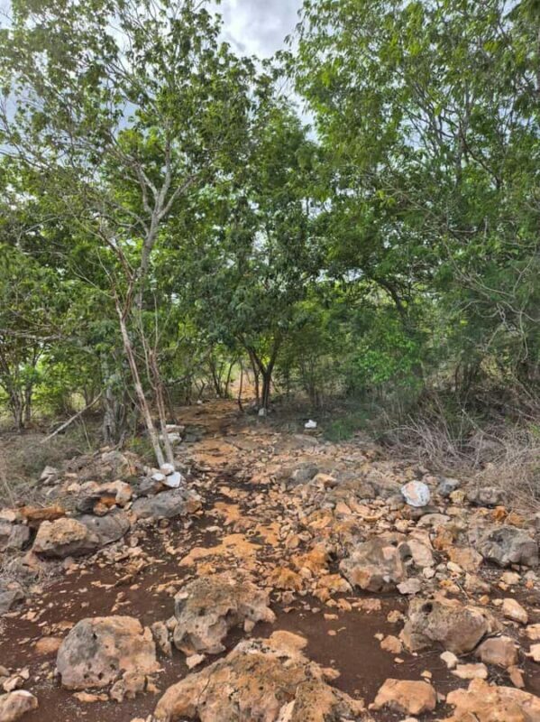 Merida: Hiking, Caving and Bat Watching Tour in the Yucatan - The Sum Up