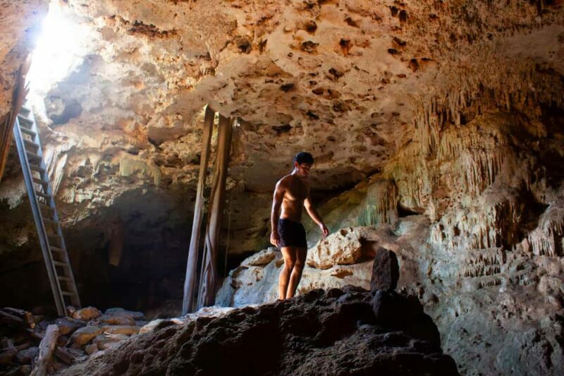 Mérida: Jungle & Cenotes Tour with Horseriding & Lunch - Exploring the Details of the Mérida Jungle & Cenotes Tour