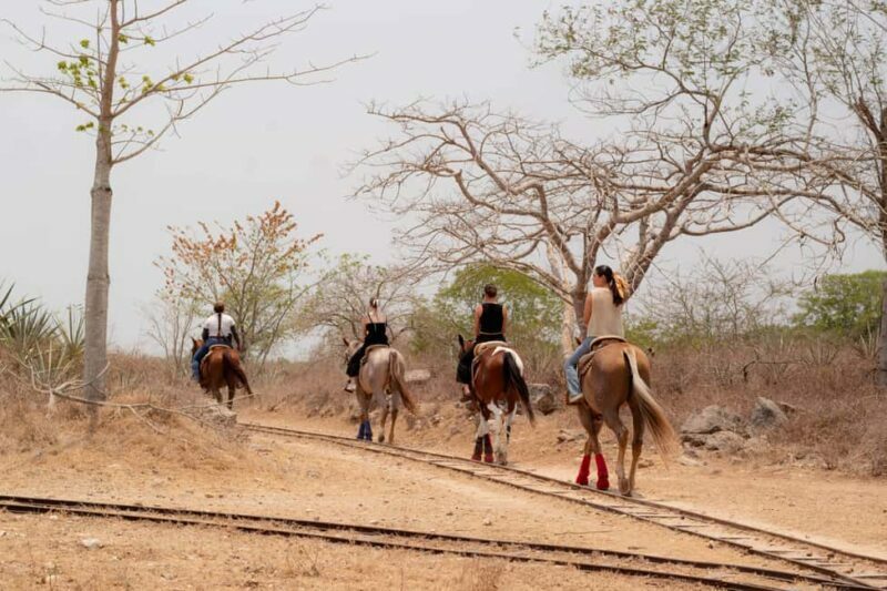 Mérida: Jungle & Cenotes Tour with Horseriding & Lunch - FAQ