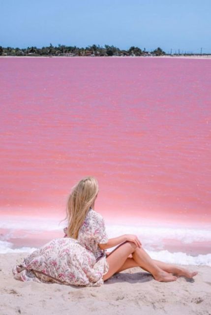 Merida: Las Coloradas & Rio Lagartos Tour - Pickup and Travel
