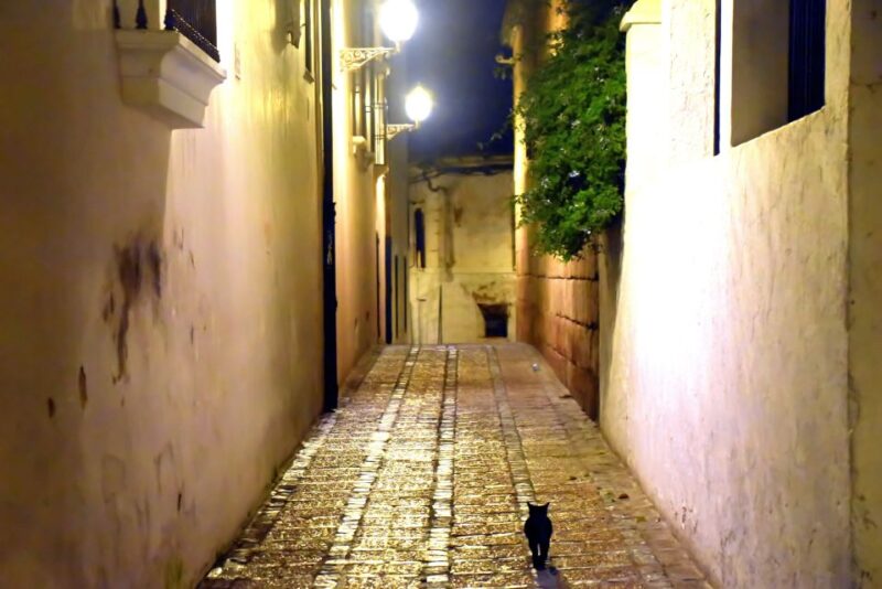 Merida: Legends and Mysteries Night Tour - Defending Against Hidden Forces