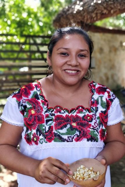 Merida: Mayan Community Cultural Immersion - Pricing and Inclusions