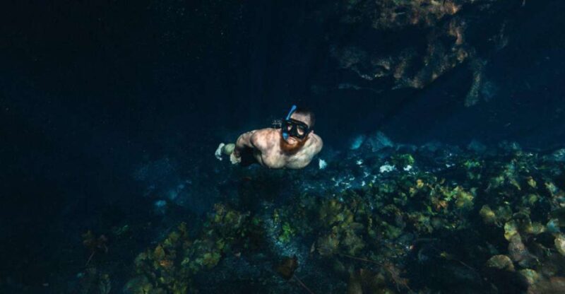 Merida: Ring of Cenotes Exploration Tour - Cenote Exploration