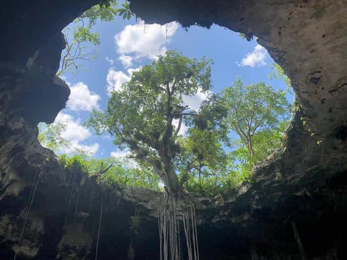 Merida: Santa Barbara Cenotes Day Trip With Lunch - Experience Highlights