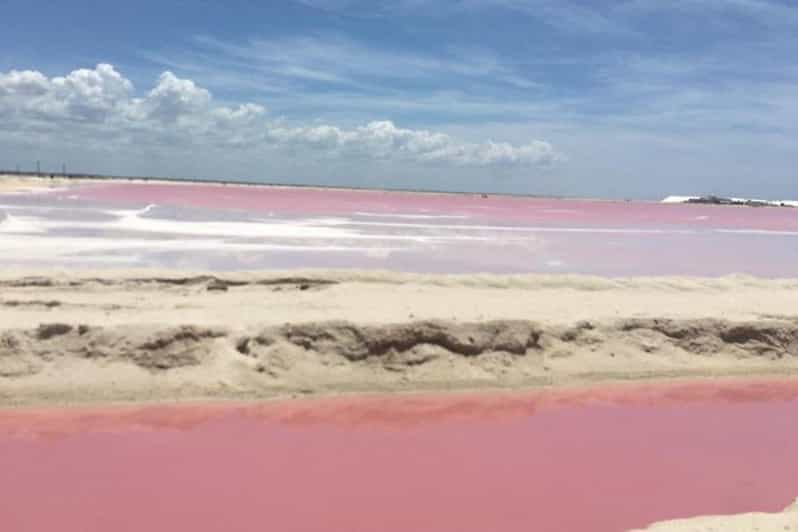 Merida: Tour Las Coloradas and Rio Lagartos - Las Coloradas Visit