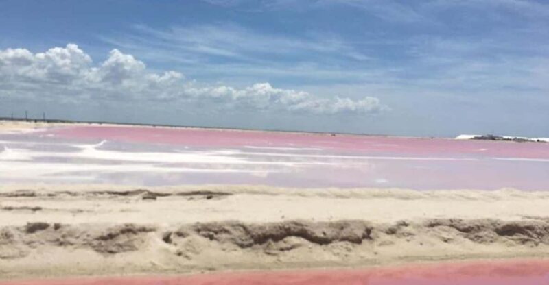 Merida: Tour Las Coloradas and Rio Lagartos - Included Amenities