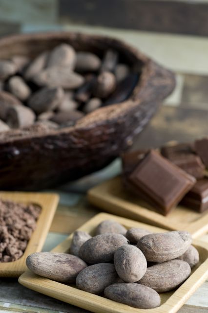 Mérida: Uxmal and Chocolate Museum Choco-Story - Choco-Story Museum