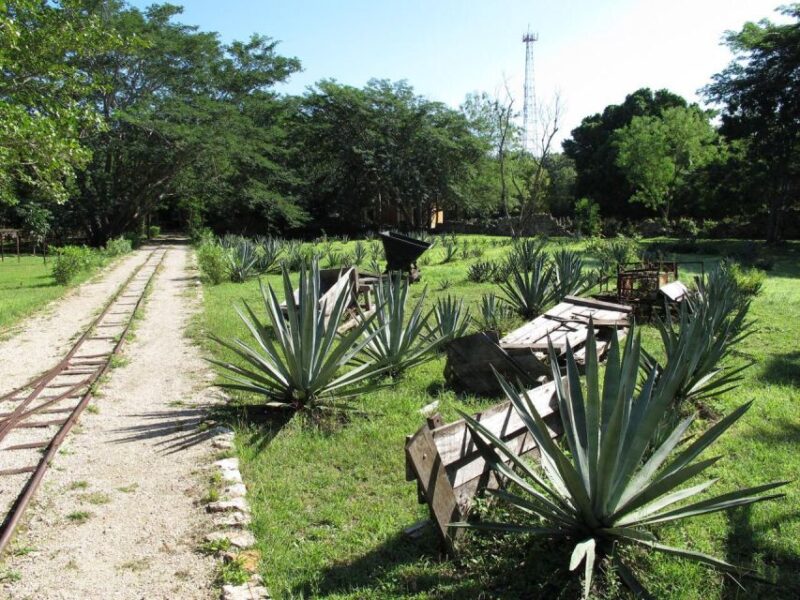 Merida: Yucatan Cenotes and Hacienda Full-Day Trip With Food - Guided Tour and Language