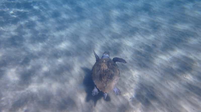 Mermaids in Kleftiko - Booking Information