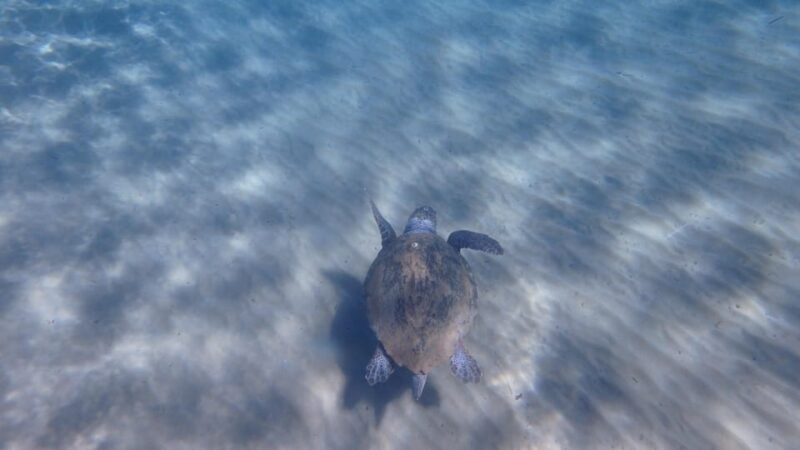 Mermaids in Kleftiko - Experience Highlights