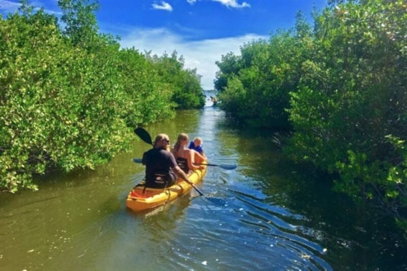 Merritt Island: Guided Kayak or SUP Tour Along Banana River - Experience and Highlights