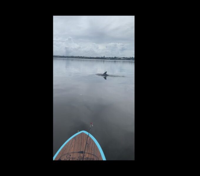 Merritt Island: Manatee Watching Paddle or Kayak Tour - Frequently Asked Questions