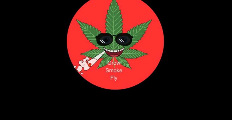 Merry-juana Themed Tour - Key Points