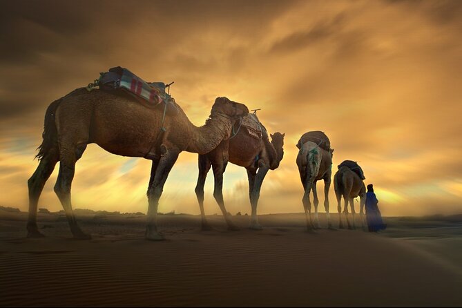 Merzouga 3 Days Tour From Marrakech, Erg Chebbi - Booking Process