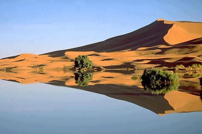 Merzouga 4X4 Half-Day Tour With Lunch - Cultural Immersion
