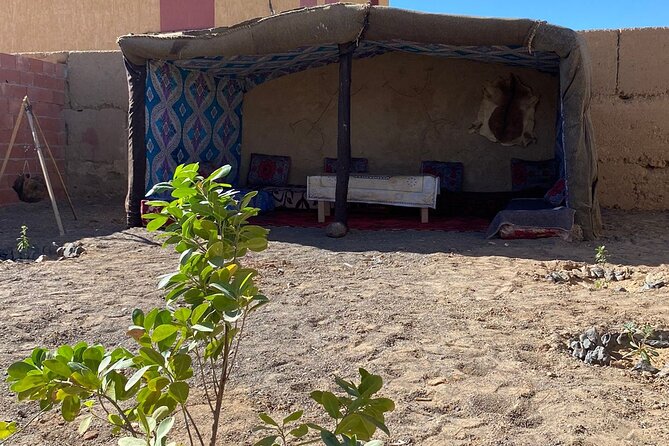 Merzouga Berber House & Activities - Highlights