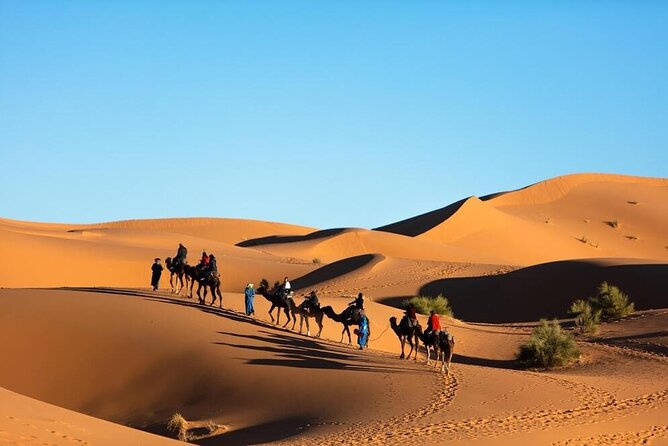Merzouga Camel Ride & Overnight Desert Camps - Booking and Cancellation Policies
