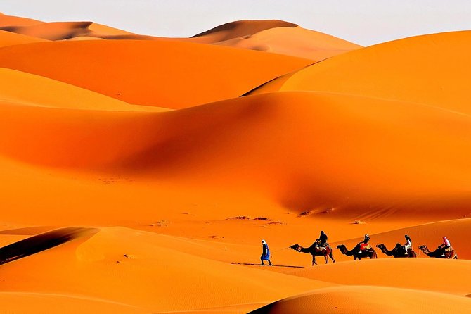 Merzouga Camel Trekking & Overnight Desert Camp - Inclusions and Amenities