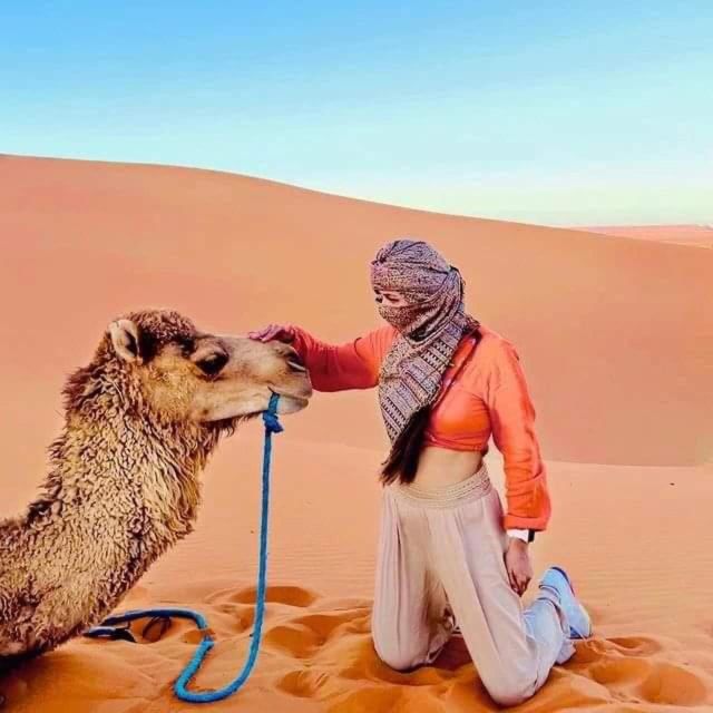 Merzouga Desert 2 Day Luxury Tour From Fes With Small Group - Itinerary Highlights