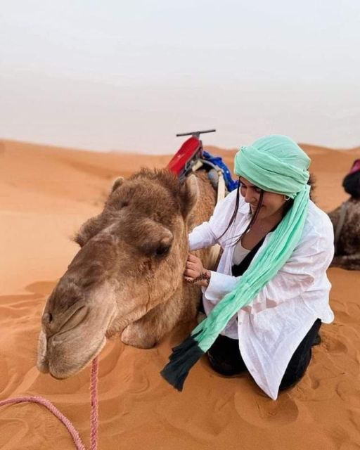 Merzouga Desert 2 Day Luxury Tour From Fes With Small Group - Pickup and Transfer