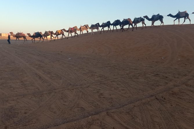Merzouga Desert 3 Days Tour From Marrakech - Pickup and Drop-off Information