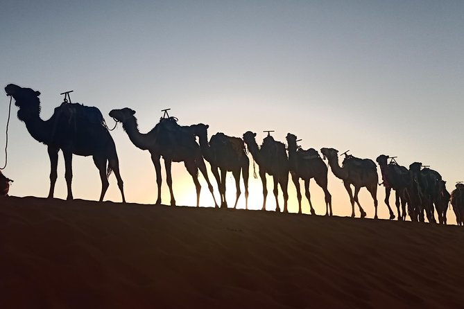 Merzouga Desert 3 Days Tour From Marrakech - Tour Details