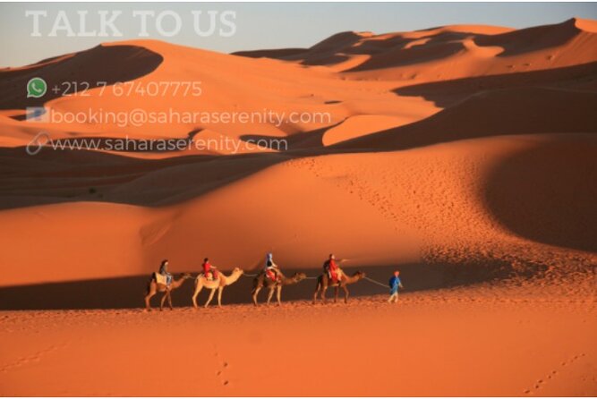Merzouga Desert Camp - Optional Activities