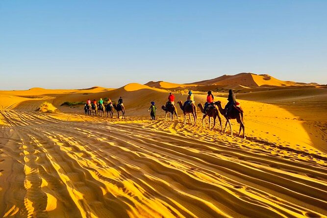 Merzouga Desert Camp - Dining Experiences