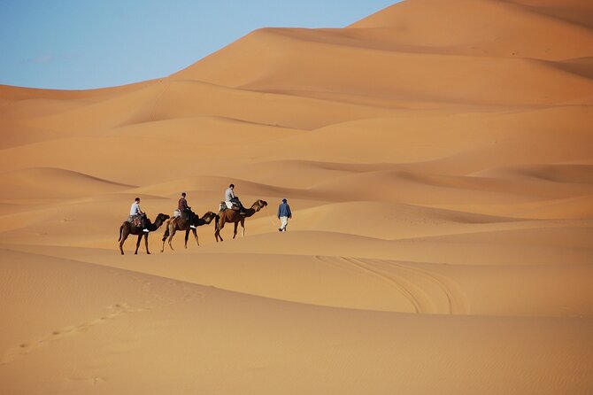 Merzouga Desert Campsite &Camel Excursions - Booking and Logistics