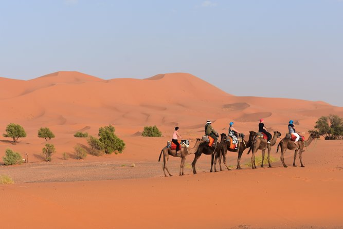 Merzouga Desert Morocco - Transportation and Group Size
