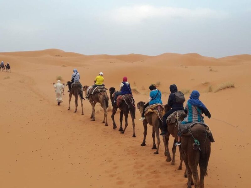 Merzouga Desert Private Luxury 2 Day Tour From Fes - Key Points