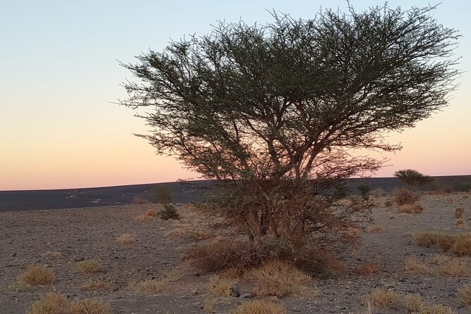Merzouga Desert Tours -By 4x4 With Nomads Visit - Lunch Amidst the Sands