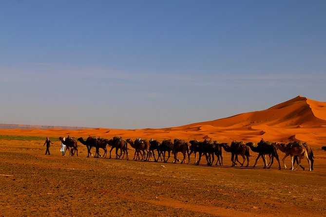 Merzouga Dunes and Berber Culture Private Day Trip With Lunch - Desert Ride Experience