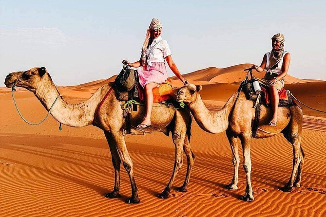 Merzouga Excursions 4×4 Desert Tour - Itinerary Highlights