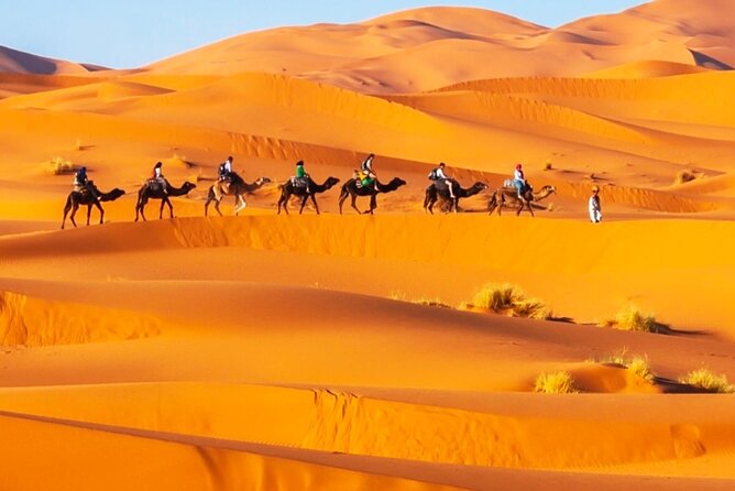 Merzouga Orange Dunes ATV Sandsurf Camels With 5 Stars Dinner - Camel Ride Highlights