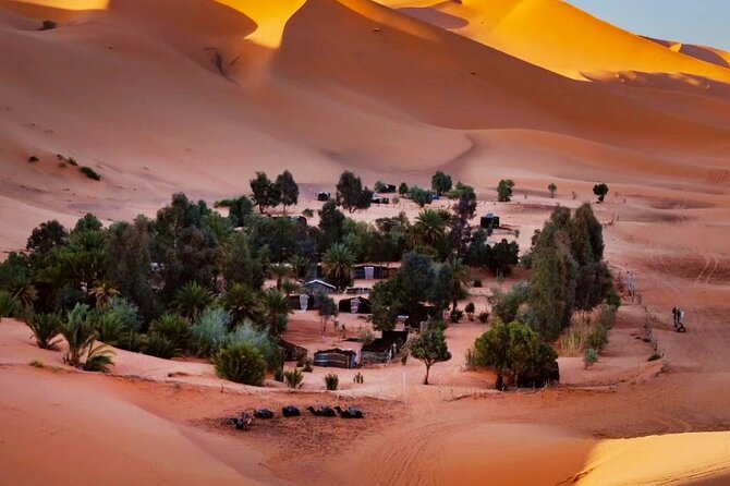Merzouga Orange Dunes ATV Sandsurf Camels With 5 Stars Dinner - Sunset and Stargazing