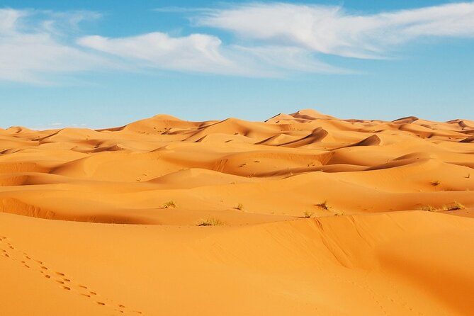 Merzouga Orange Dunes ATV Sandsurf Camels With 5 Stars Dinner - Dining Experience