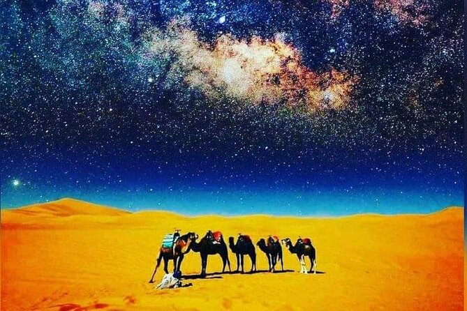 Merzouga Overnight Safari Camp - Authenticity of Reviews