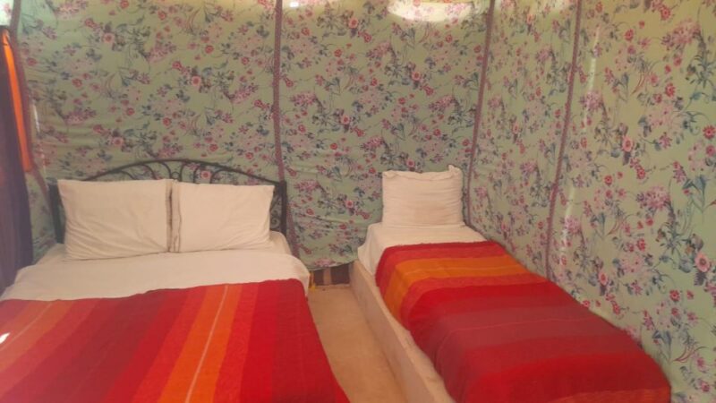 Merzouga Overnight Stay in a Berber Tent and Camel Ride - Customer Feedback and Ratings