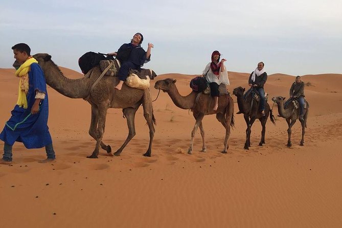 Merzouga Sahara & Erg Chebbi Luxury Bivouac - Meeting & Pickup