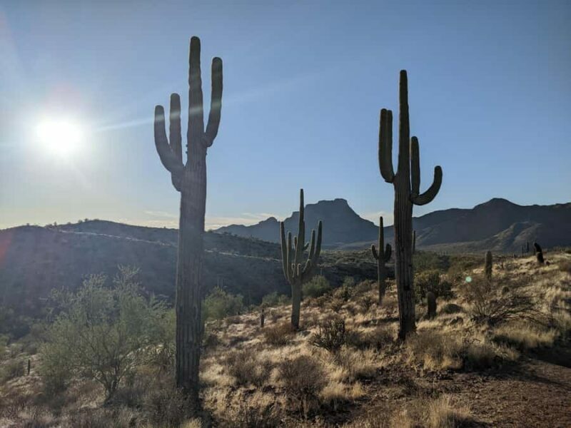 Mesa: Copper Mile Desert Hike - Who Will Love This Tour?