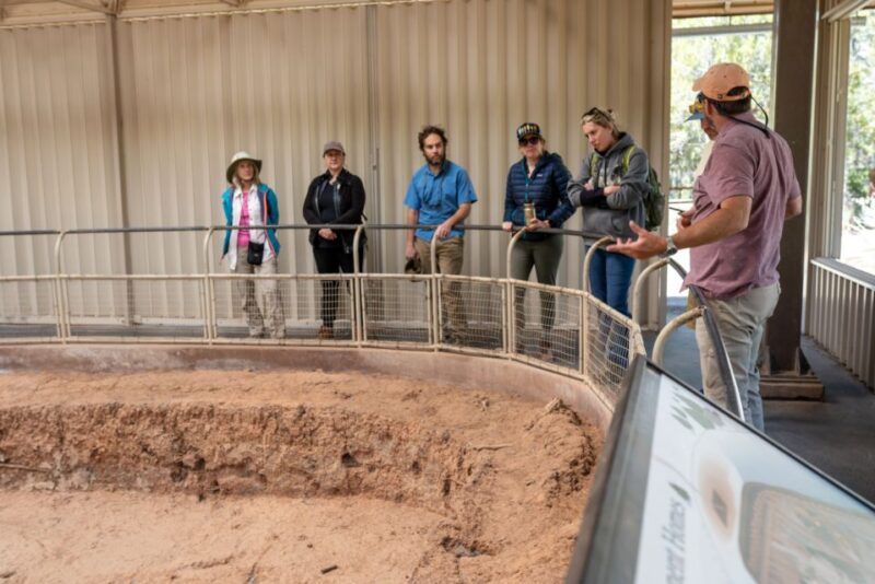 Mesa Verde National Park Tour With Archaeology Guide - Preparation and Recommendations