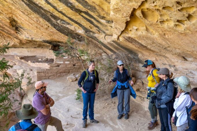 Mesa Verde National Park Tour With Archaeology Guide - Explore Ancestral Pueblo Sites