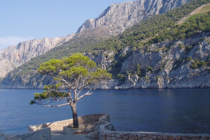 Mesmerizing Hvar Speed Boat Tour With Optional Wine Tasting - Key Points
