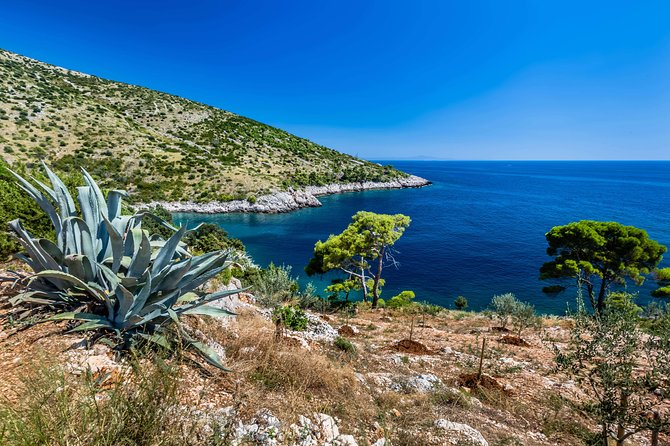 Mesmerizing Hvar Speed Boat Tour With Optional Wine Tasting - Accessibility Details