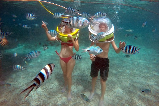 Mesmerizing Ile Aux Cerf: Speed Boat, Grse, Lunch & Undersea Walk (Full Day) - Tour Overview and Activities