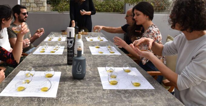 Messenia: Olive Oil Experience 2 -Tour and Food Pairing - Additional Services